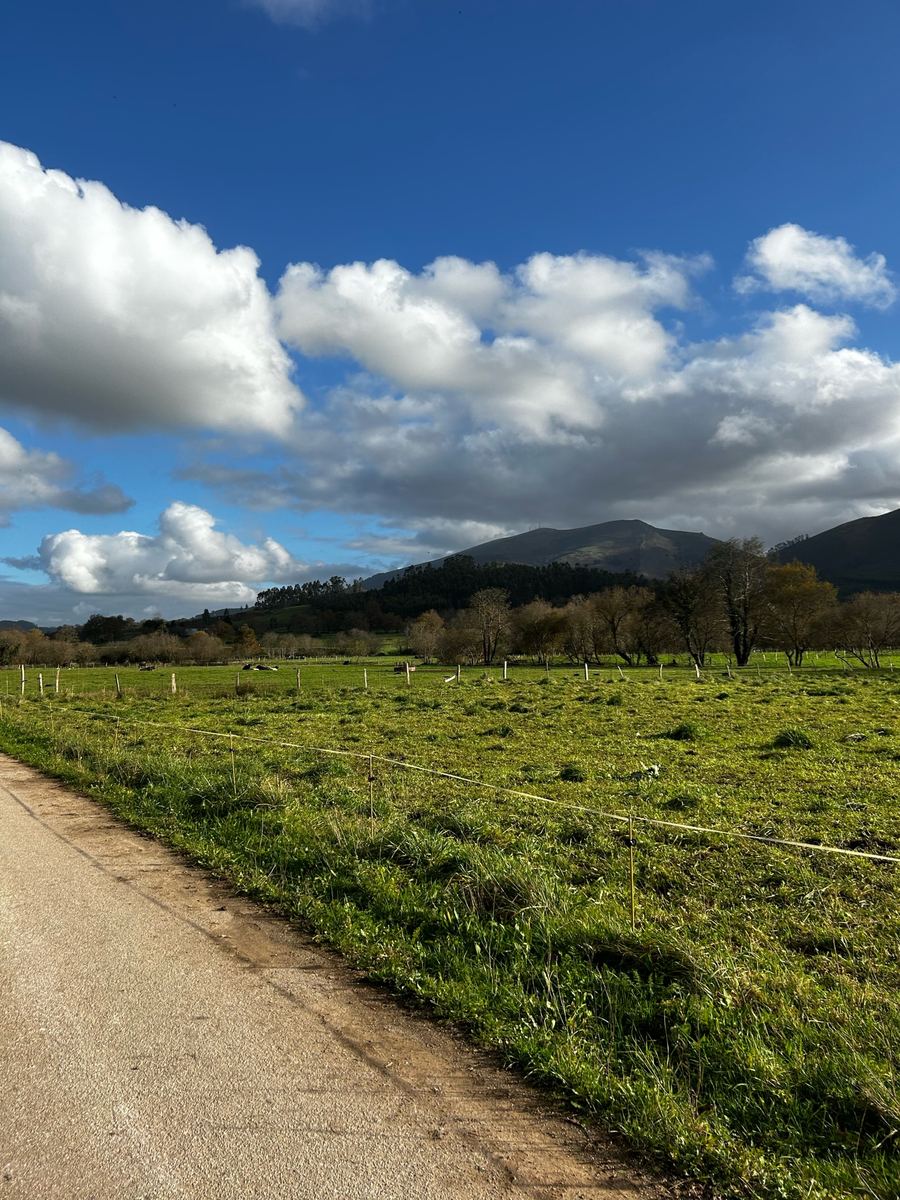 Un camino junto a los prados, con la montaña al fondo